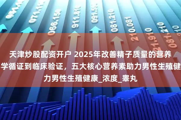 天津炒股配资开户 2025年改善精子质量的营养素推荐：从科学循证到临床验证，五大核心营养素助力男性生殖健康_浓度_睾丸