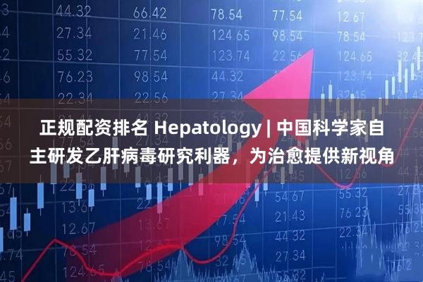 正规配资排名 Hepatology | 中国科学家自主研发乙肝病毒研究利器，为治愈提供新视角